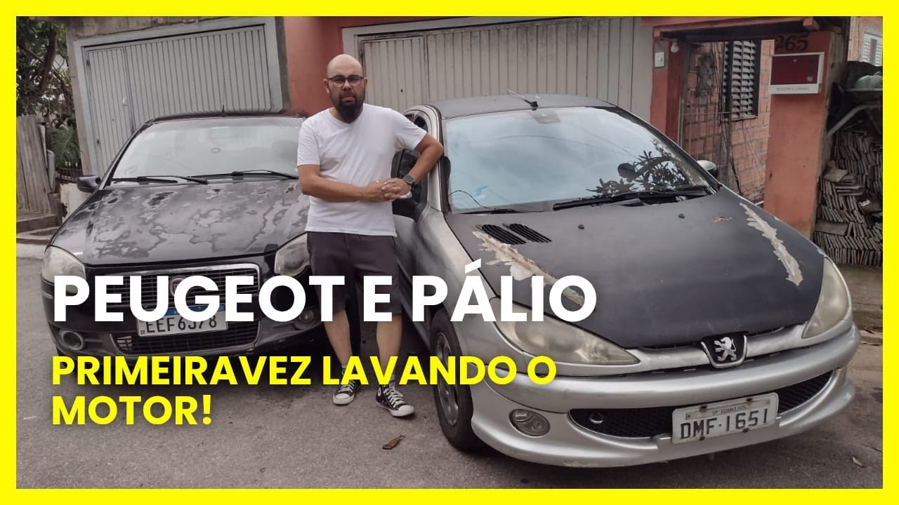Peugeot 206 e Pálio Fire! Primeira vez Lavando o Motor em casa!
