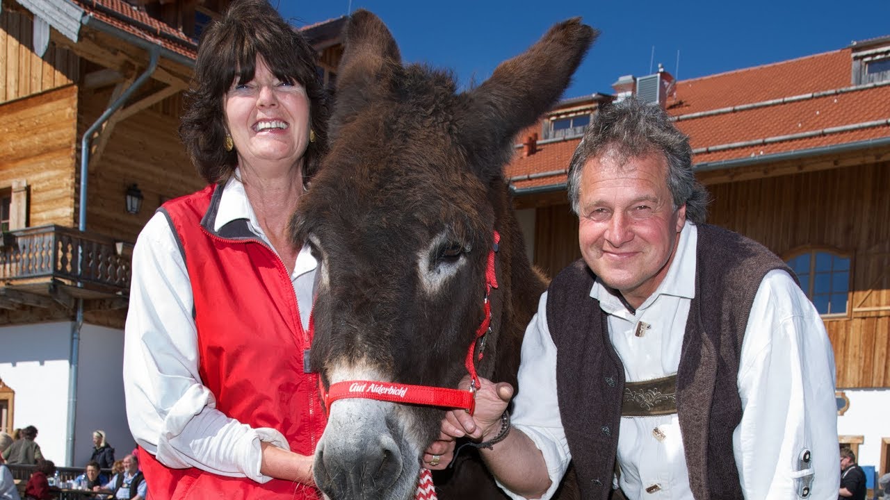 Gut Aiderbichl TV-Magazin: Das Schicksal von Esel Xaverl