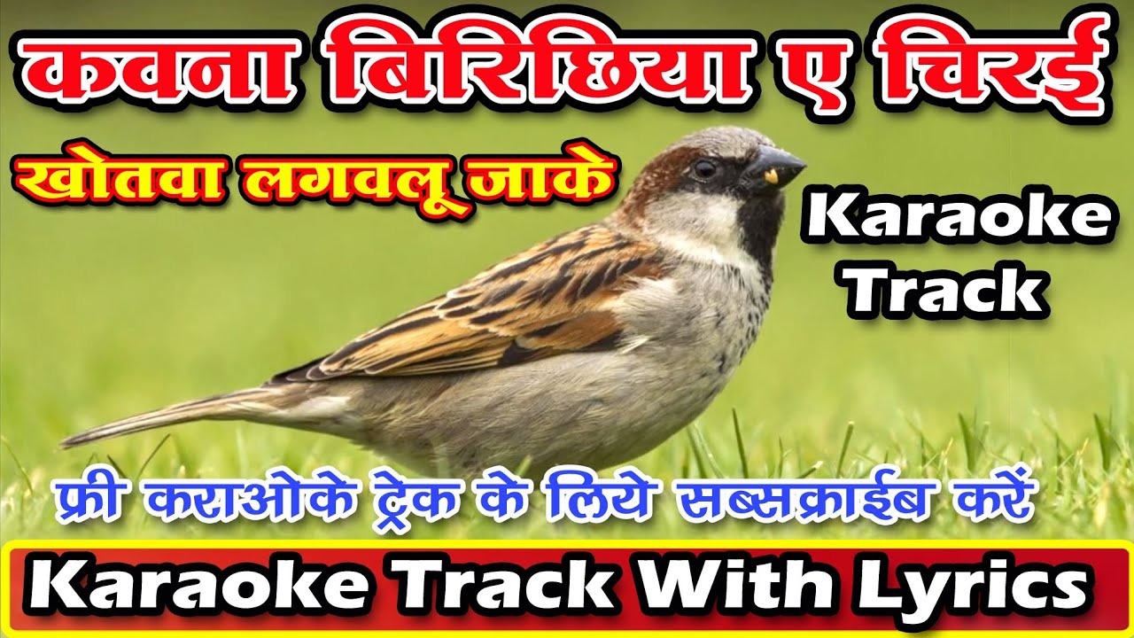 कवना बिरिछिया ए चिरई | Kawna Birichhiya ye Chirai | Nirgun Karaoke Song | Nirgun KaraokeTrack
