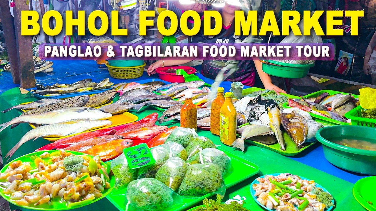 Dauis Fish Market to Tagbilaran City Central Market | Market Life in BOHOL Philippines