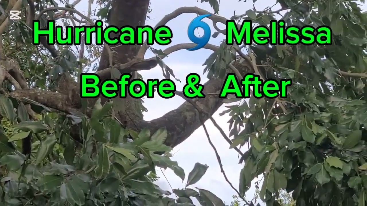 Hurricane 🌀 Melissa @before and after.