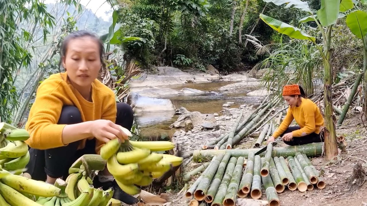Collecting Bananas, Green Vegetables and Ginger and Transporting Them to the Village Market