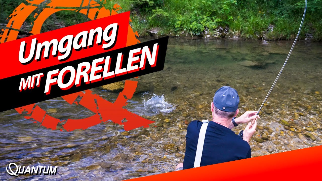 Fliegenfischen auf Forellen - So wird catch and release angeln richtig gemacht!