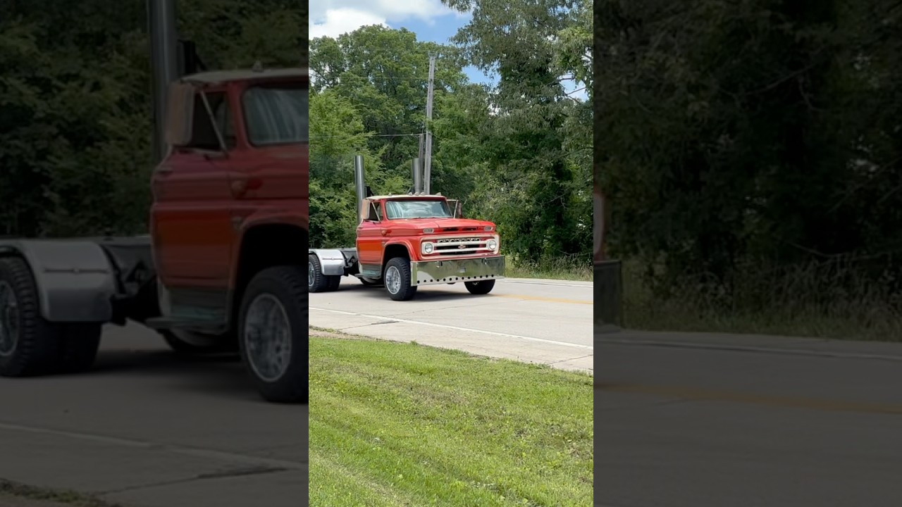 Log Dog rolling coal 😎