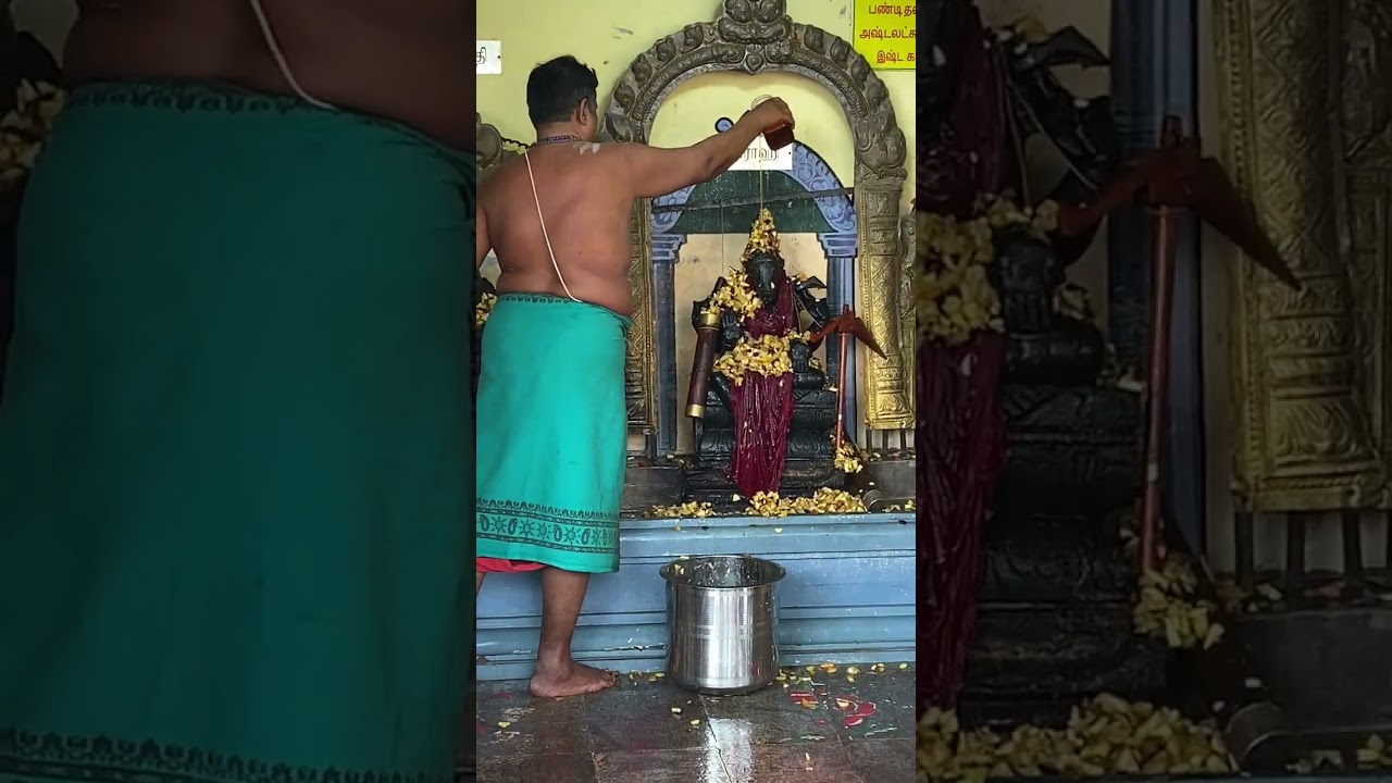 Varahee Amman Panchami Abhishegam#varahi #varahidevi #varahiblessings #varaharoopam #amman #panchami