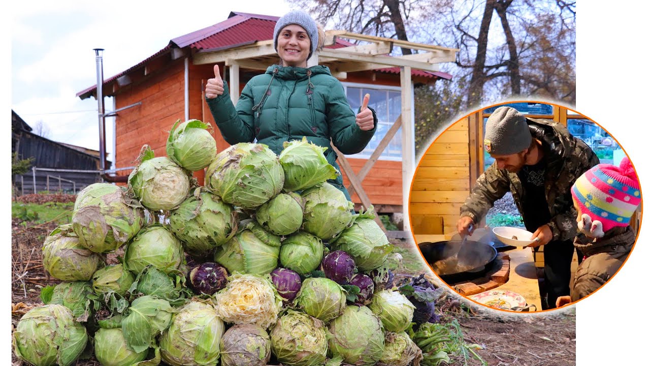 Урожай капусты и гусь в казане