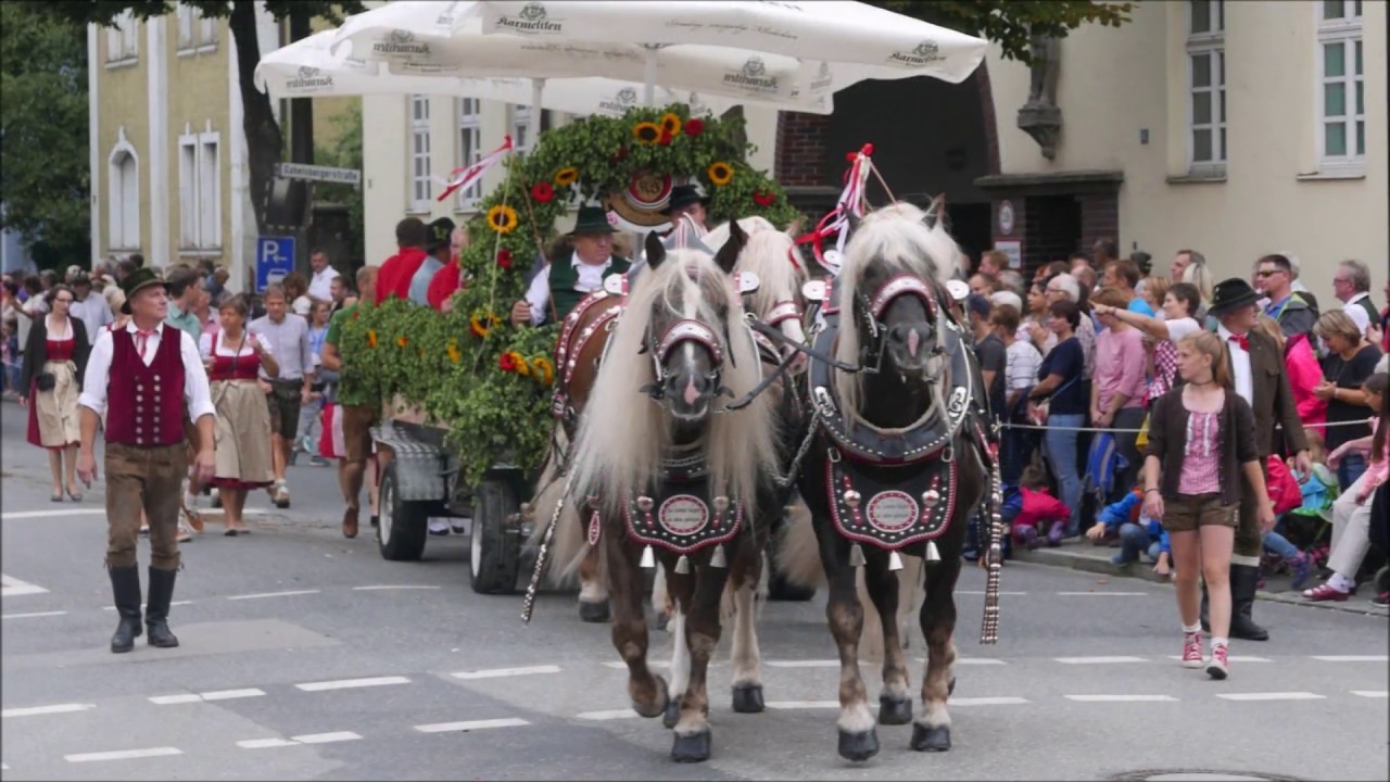 Gäubodenvolksfest 2018 Straubing Pferdegespanne Festauszug