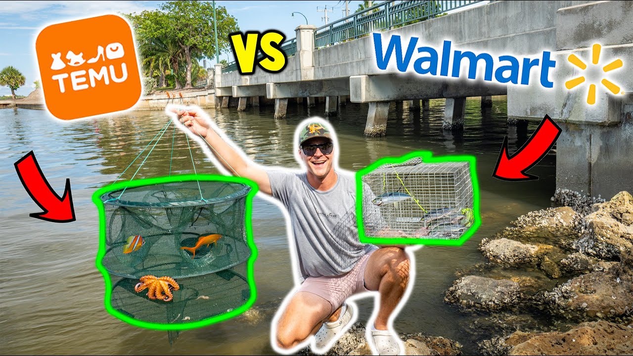 Temu vs Walmart Fish Trap Under a Bridge!!