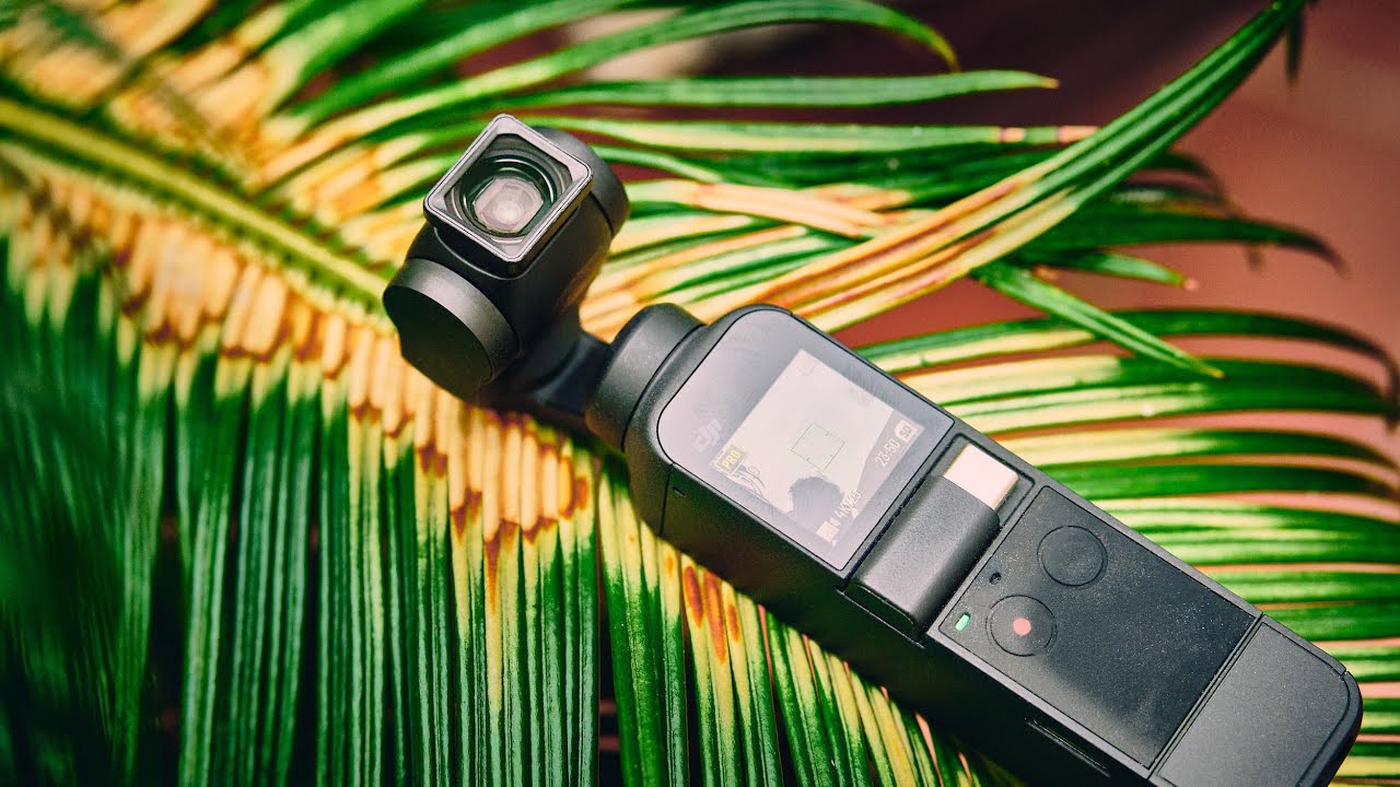 DJI Pocket 2 Best Cinematic Settings
