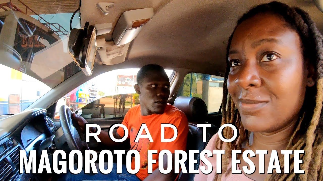 Tanzania | Road to Magoroto Forest Estate