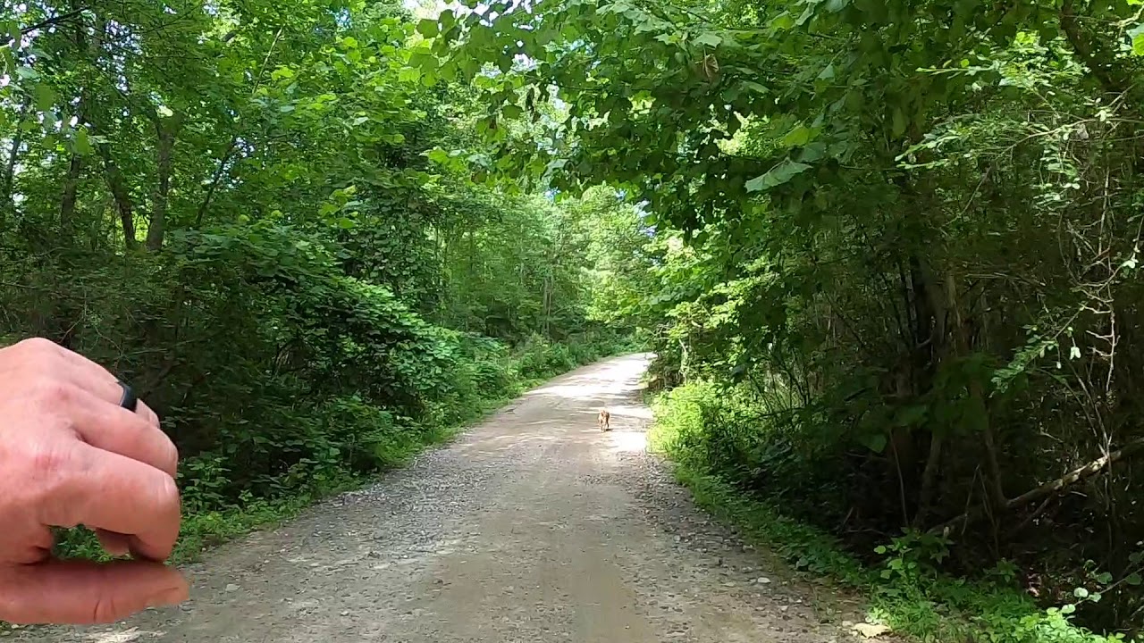 🗺️ Hidden Waterfall Hike from Old Rope Mill Park | Lake Allatoona Adventure