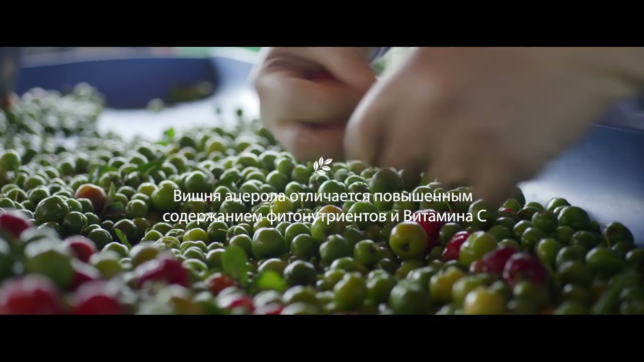 Ацерола от Nutrilite и прослеживаемость