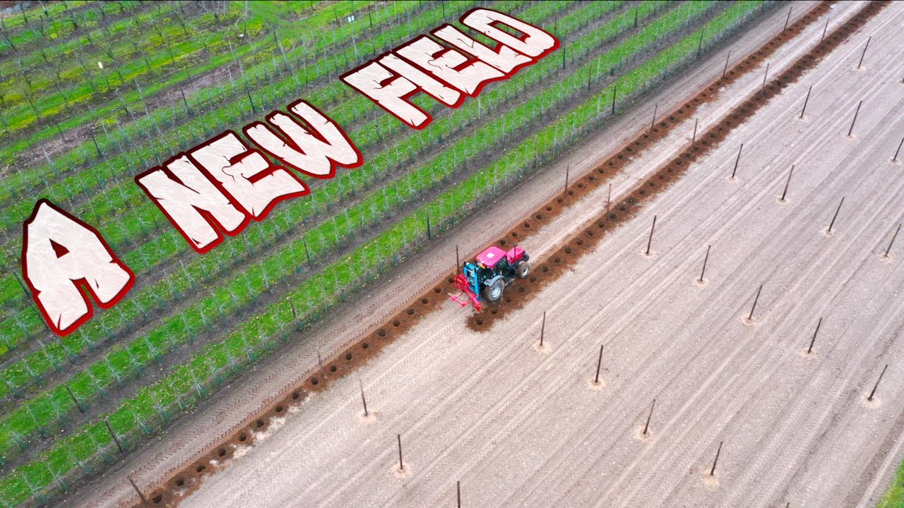 Planting a new applefield