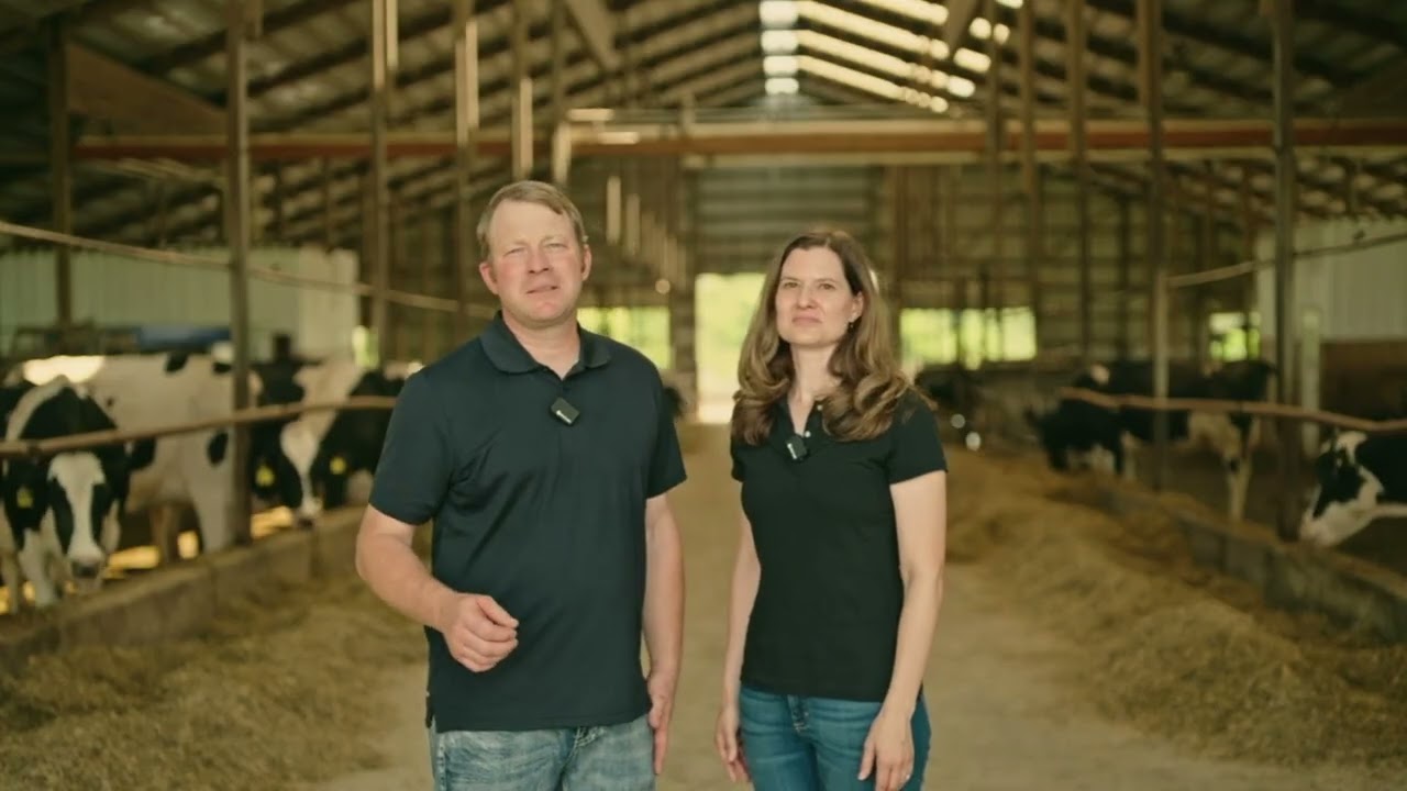 Virtual Farm Tour - Hurtgenlea Holsteins