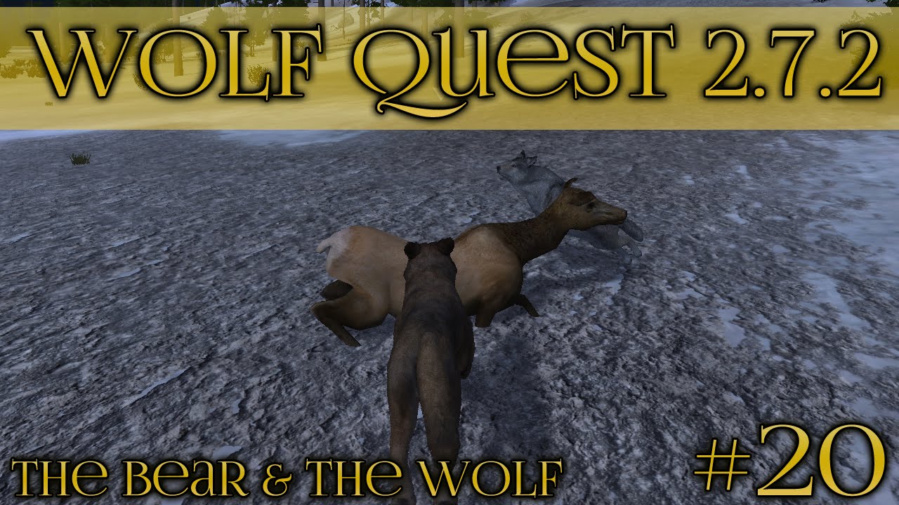 Return of the Bear-Wolf & His Mate!! 🐺 Wolf Quest 2.7.2 - Bear & Wolf Season • Episode #20