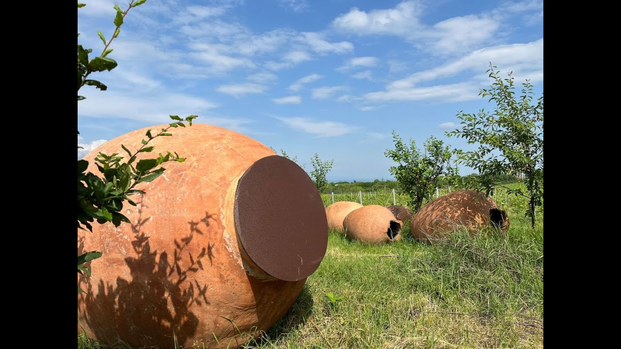 Viaggio in Georgia, culla della viticoltura dove i vignaioli vogliono costruire un futuro radioso.