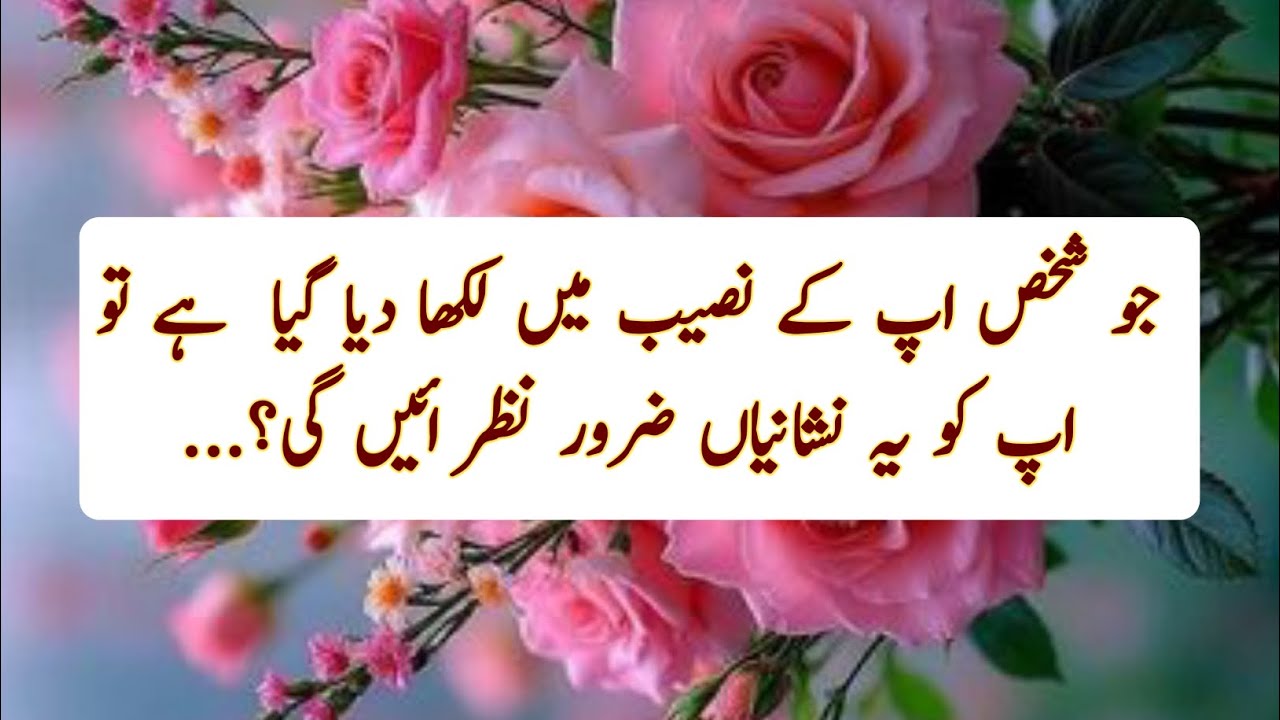 Bano Qudsia Quotes in urdu|Mard Aurat Quotes|Motivational Quotes For Success In Life|Alfaaz eZindagi