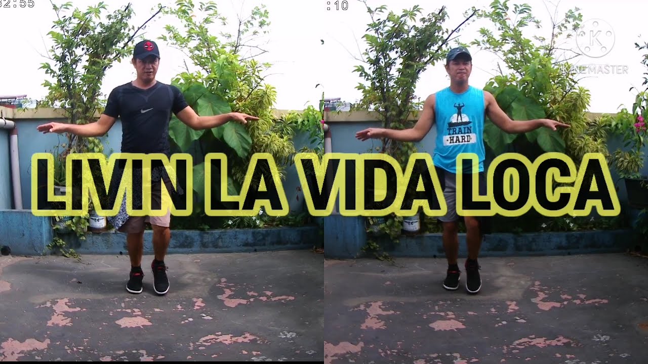 LIVIN LA VIDA LOCA - RICKY MARTIN / Stillpogi DWO