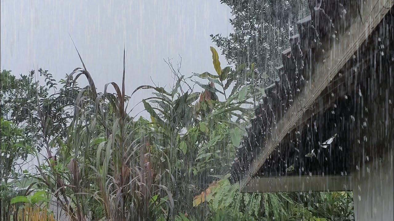 "Unbelievable Heavy Rain Relaxing Rain for Sleep, Study & Deep Focus"