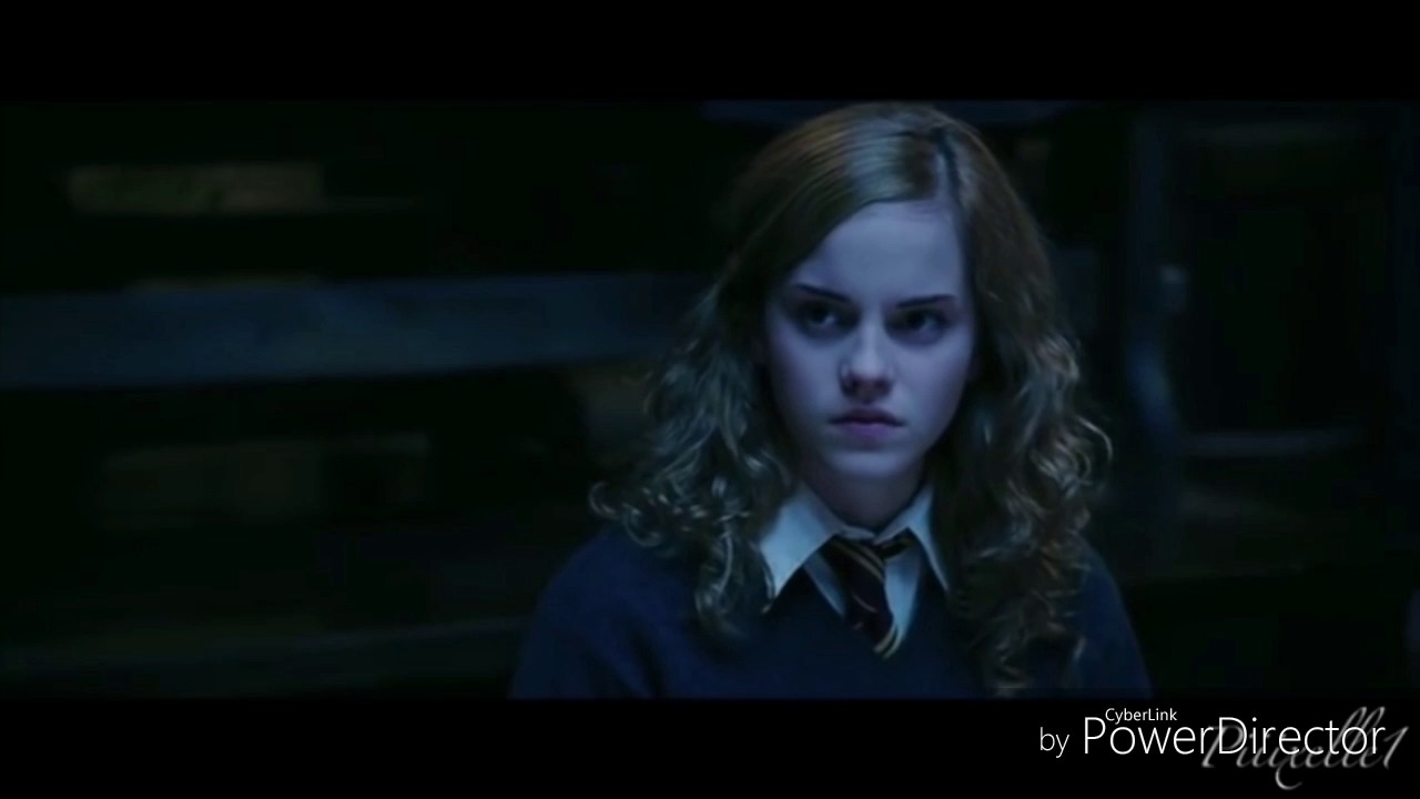 Harry and Hermione Boyfriend