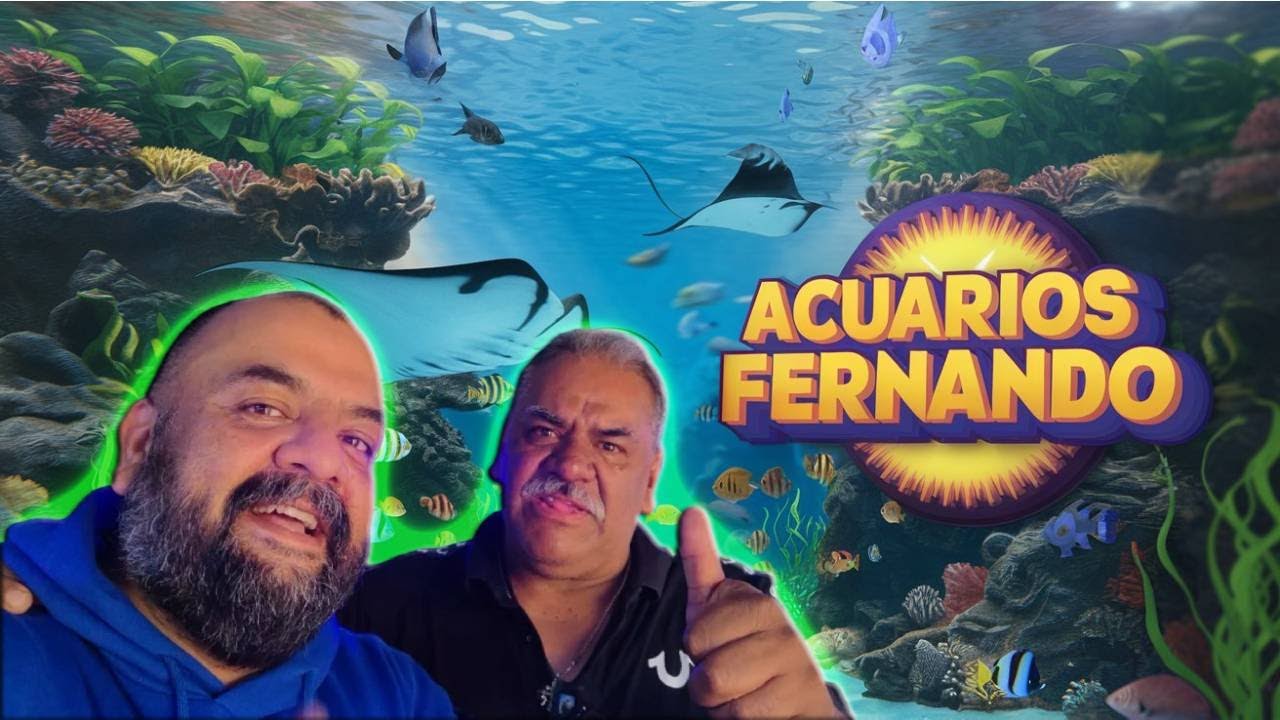 &iexcl;Acuarios Fernando! El Para&iacute;so de Peces Marinos y de Agua Dulce en el Mercado Morelos 🐠🌊
