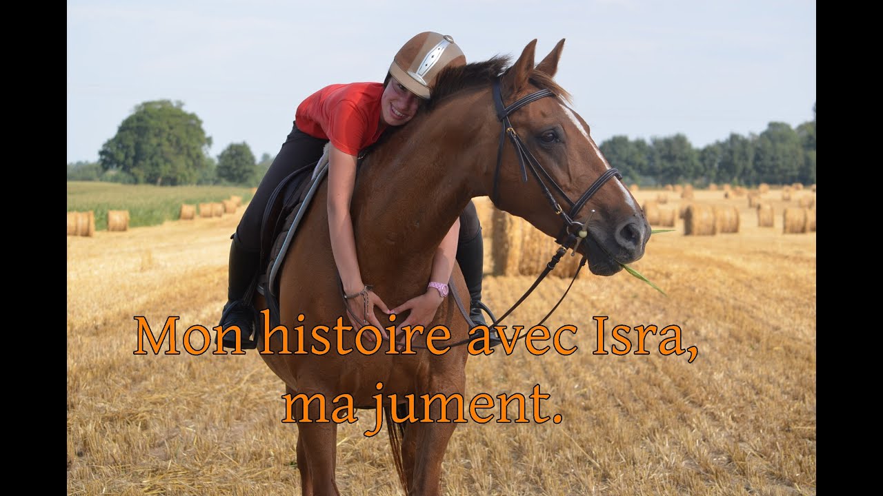 Mon histoire avec Isra, LA jument de MA VIE. ♥