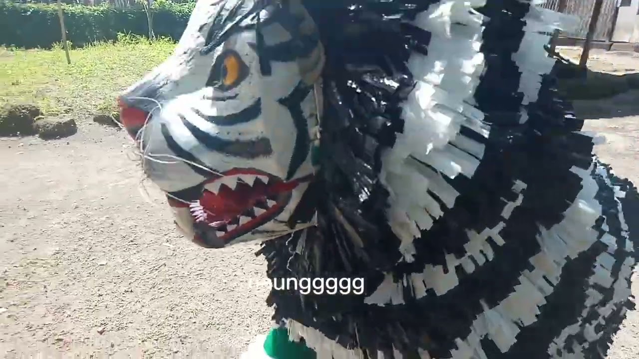 Takut ke macan🐅