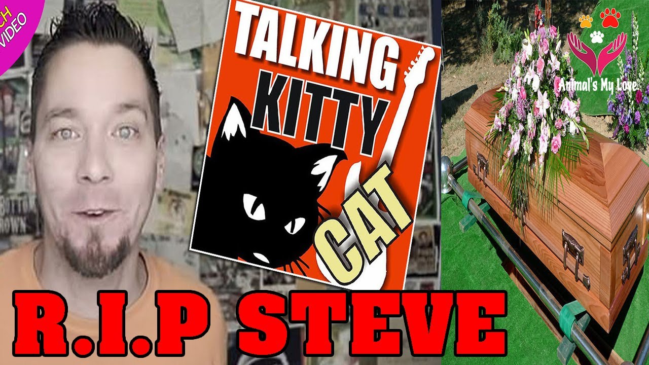 Talking Kitty Cat YouTube star Steve Cash Dead, for a puzzling reason, Animal's My Love