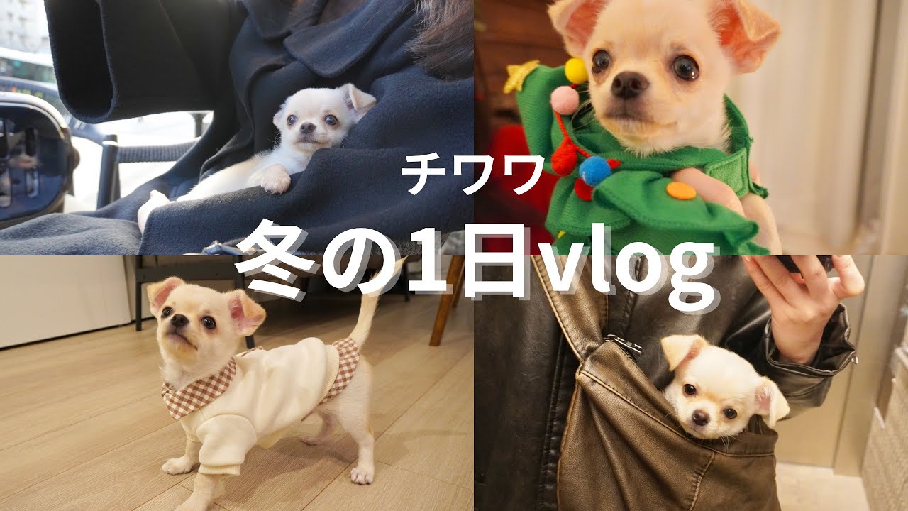 【冬の1日vlog】はじめてがたくさん！