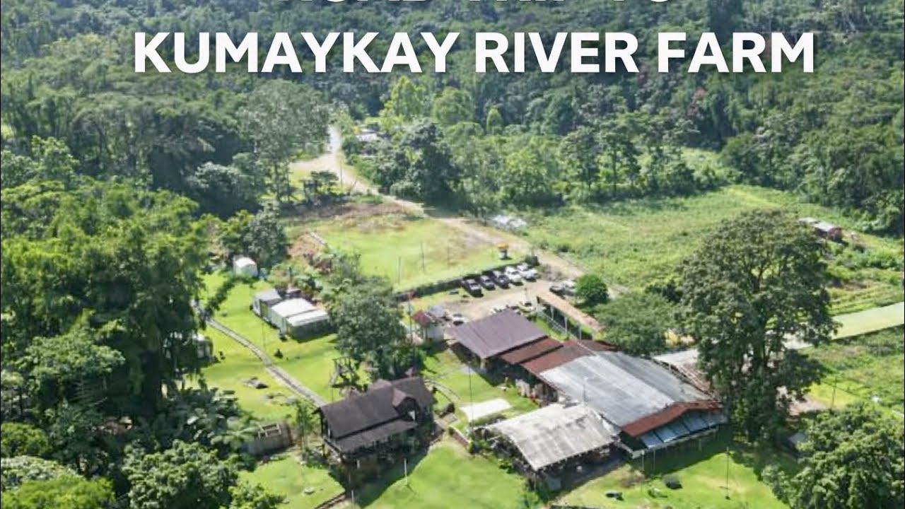 Road trip to Kumaykay River Farm Resort — rivers, green hills, cool air, and nature’s charm. 🌿🚗💧