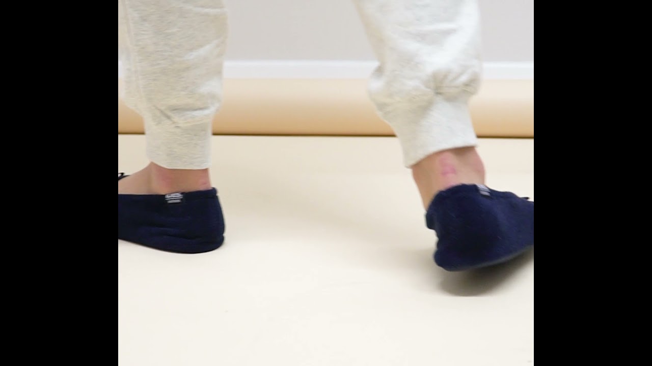 Totes Isotoner STRETCH TERRY BOW Ladies Ballet Slippers Navy | House Of Slippers