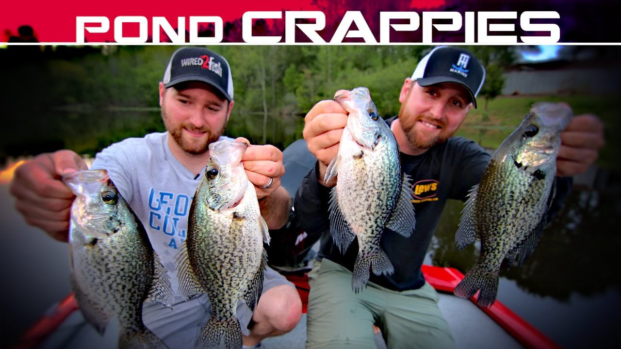 How to Catch More and Bigger Crappie in Ponds