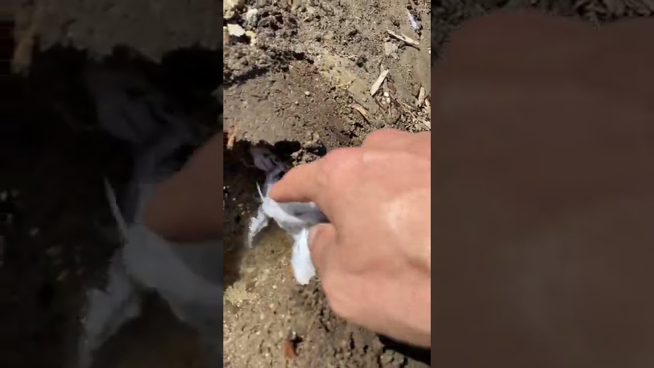 Gopher Problem 🤦🏻&zwj;♂️🐀?