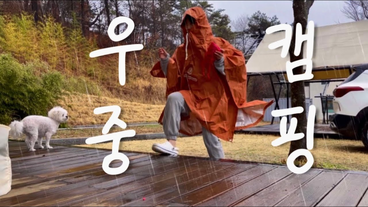 [솔로캠핑] ☔️우중캠핑은 하고 싶은데 텐트 젖기는 싫었슴다 | 애견동반캠핑 | 제드 와일드돔ex | 담양 금성산성오토캠핑장