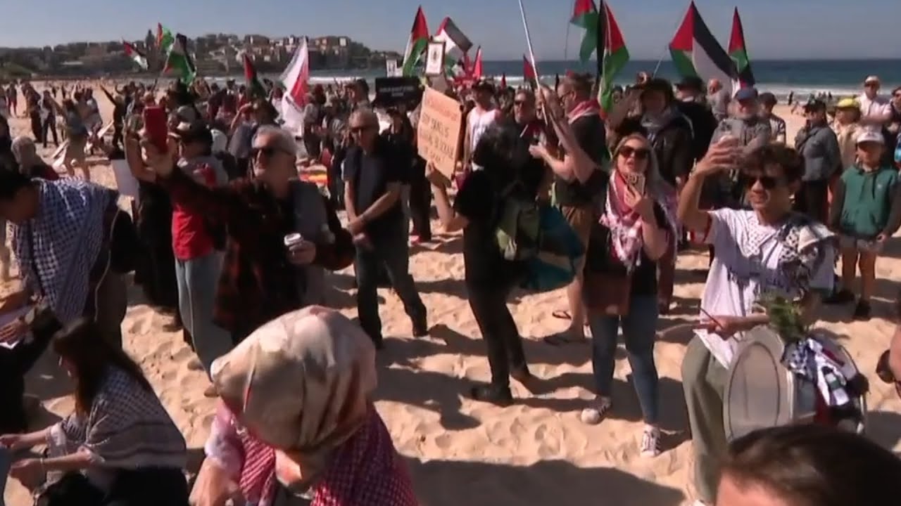 ‘Lowlife’ pro-Palestinian protestors in Bondi were ‘poking the bear’