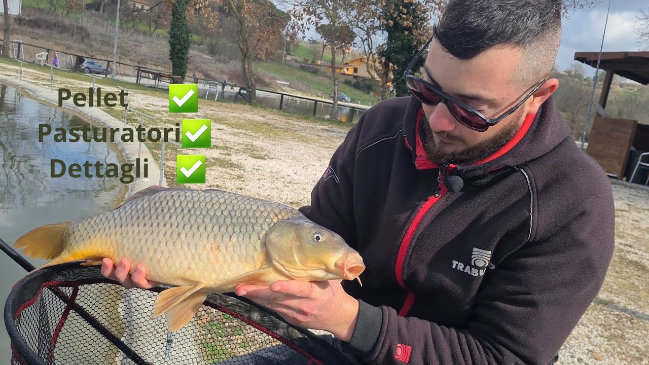 Passione Feeder - 