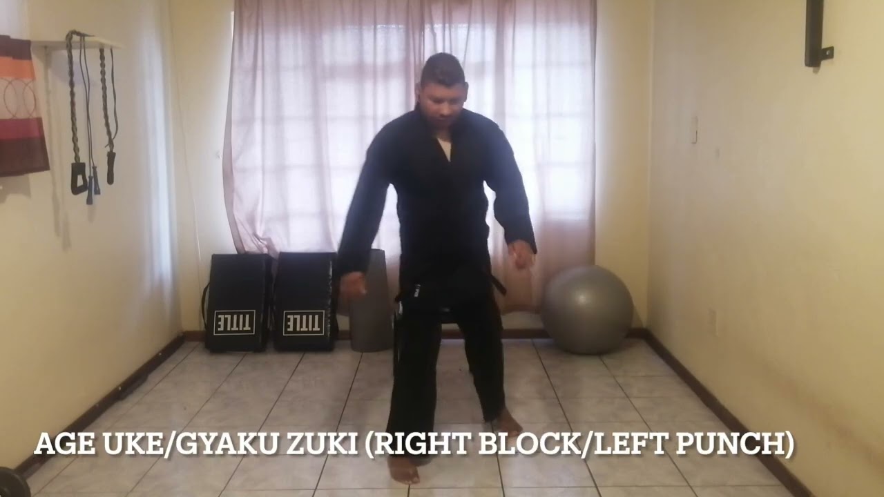 Follow along 20 Minute Karate Tabata Workout