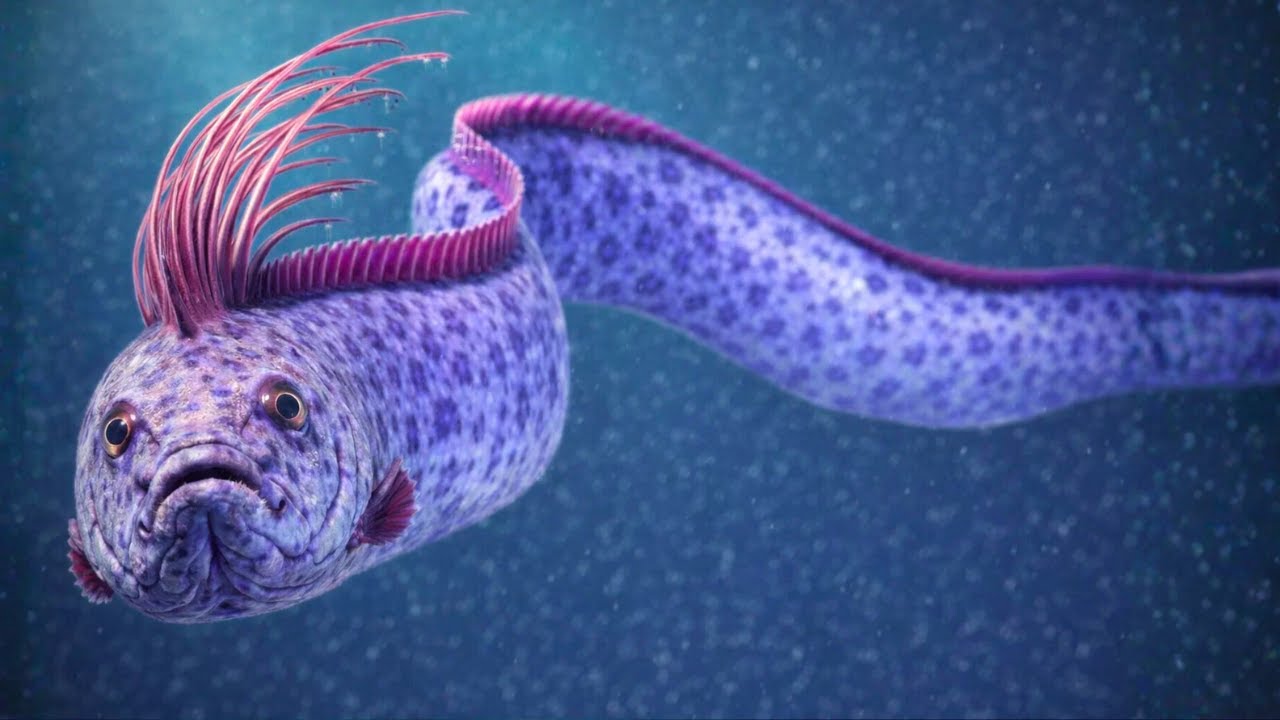 WHY SCIENTISTS ARE TERRIFIED WHEN THIS FISH REACHES THE SURFACE