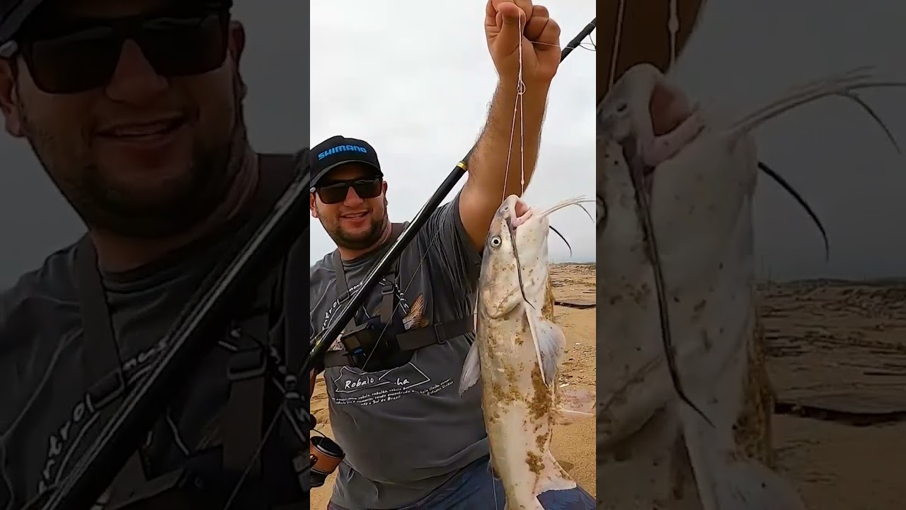 BAGRE CAPTURADO COM ISCA NATURAL! #universofishing #pescadepraia #iscanatural #bagre #dicasdepesca