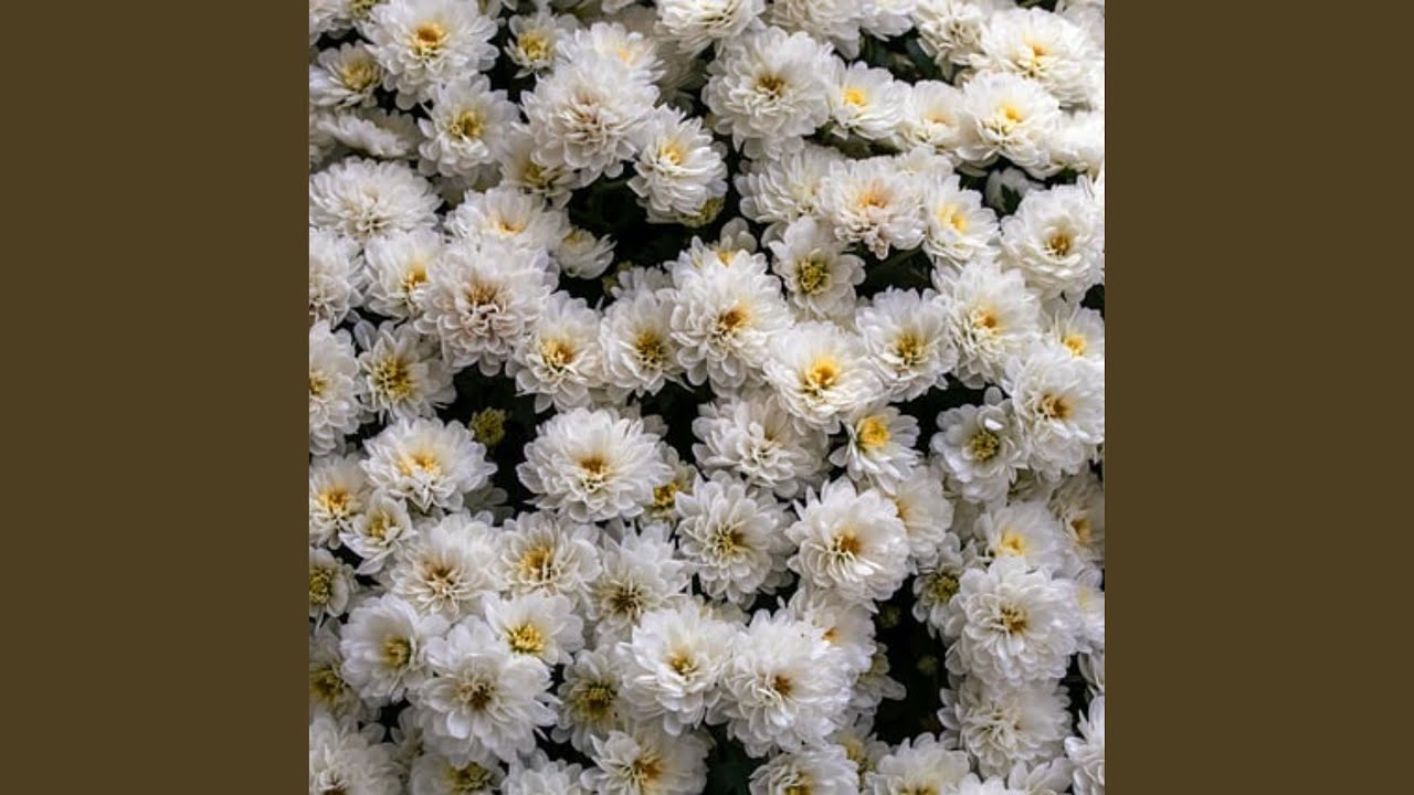As Beautiful As Your Face