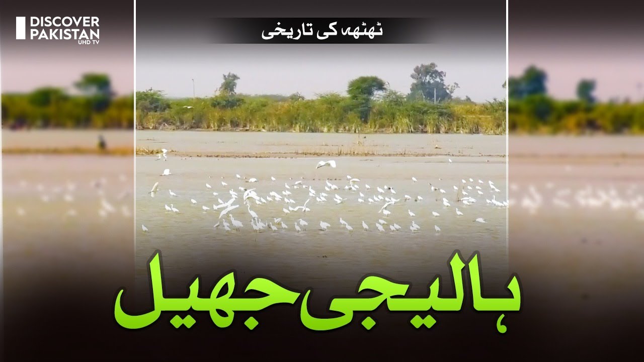 Historical Haleji Lake of Thatta