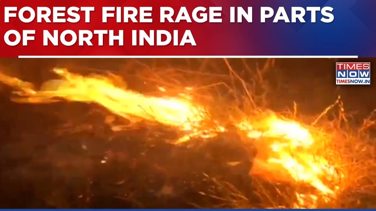 Forest Fire Rages In Parts Of North India; J&K's Ramnagar, Uttarakhand's Chamoli & Chakrata Affected