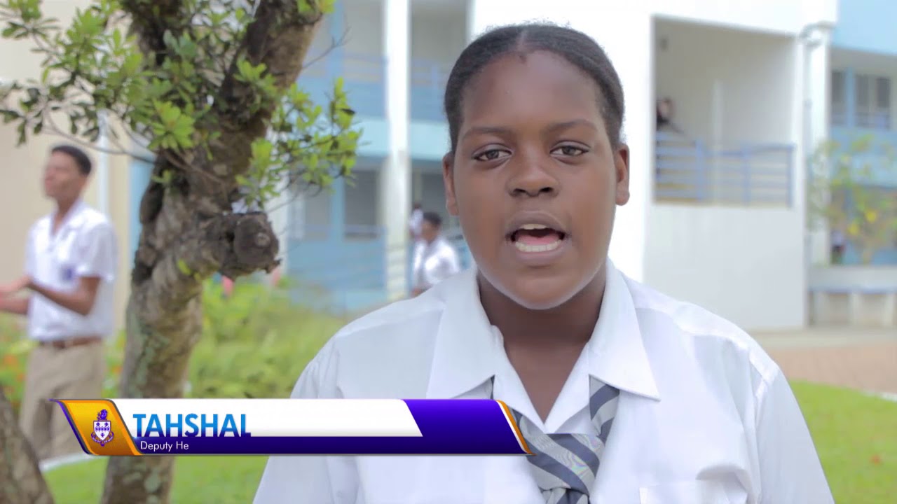 The Lodge School's Effective Schools Programme