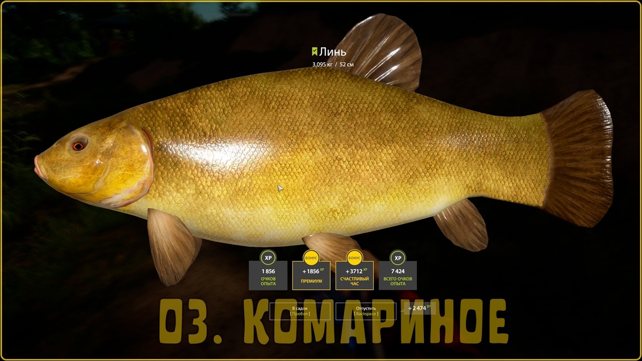 РР4 Фарм и Точка клёва - Комариное - Трофей Густера, Линь, Язь, Ротан, Карась - Русская Рыбалка 4