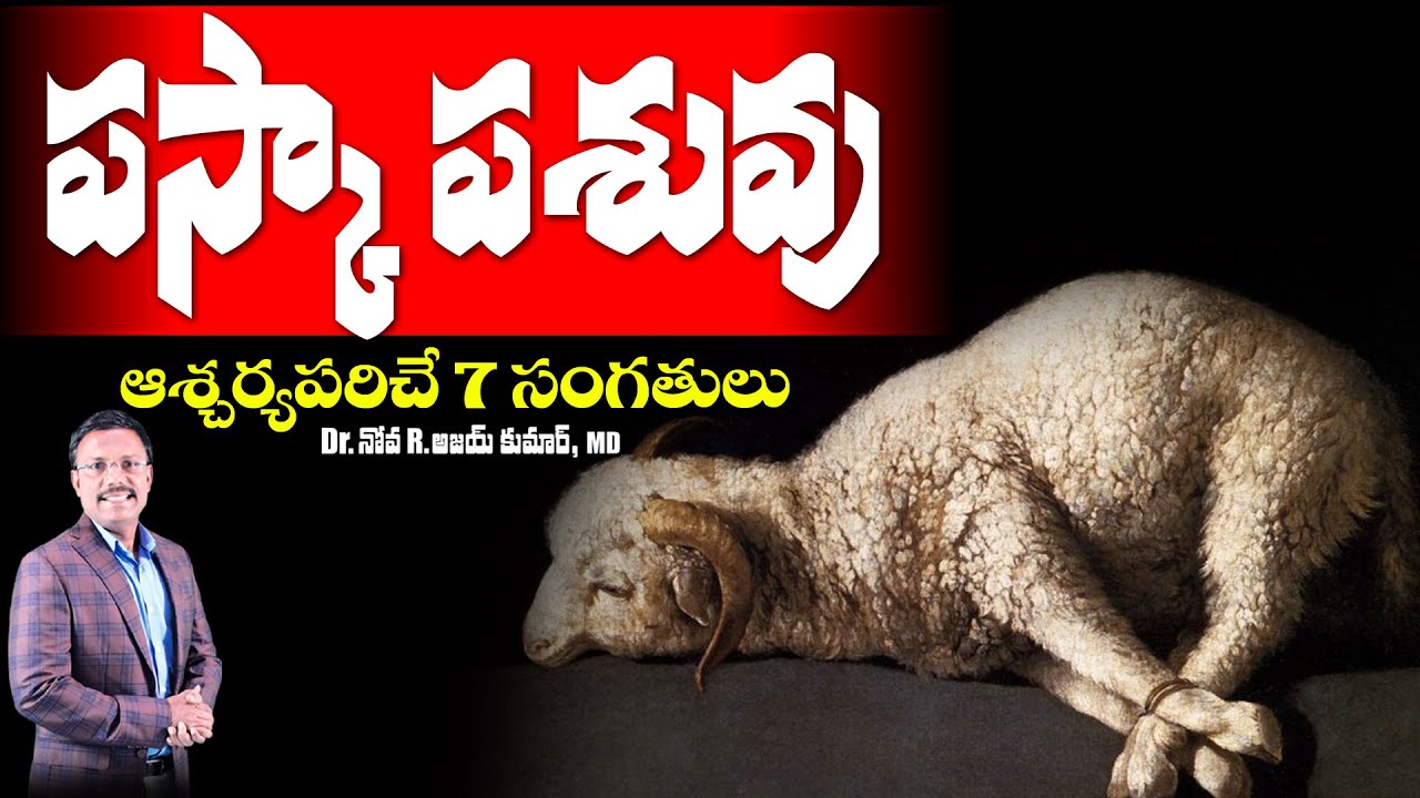పస్కా పశువు గూర్చి 7 సంగతులు - The Passover Lamb - Dr. Noah