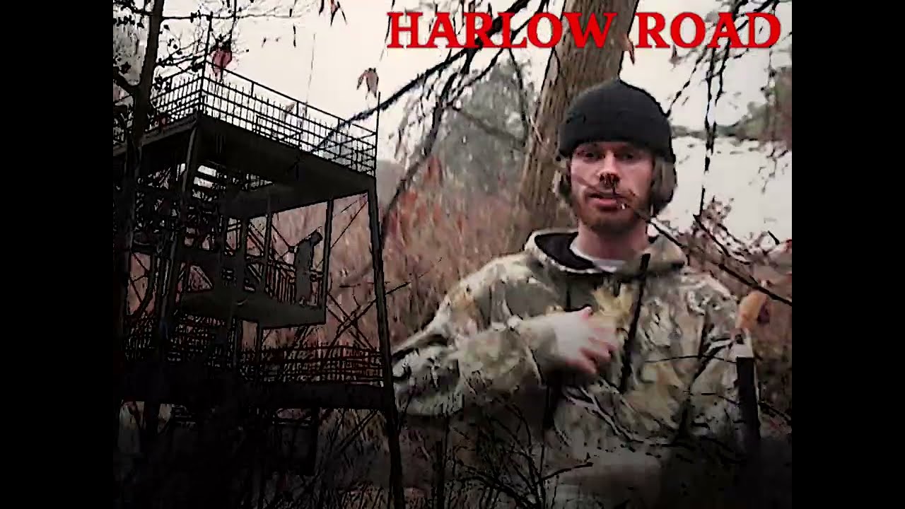 Harlow Road - Invasive Species (Music Video)