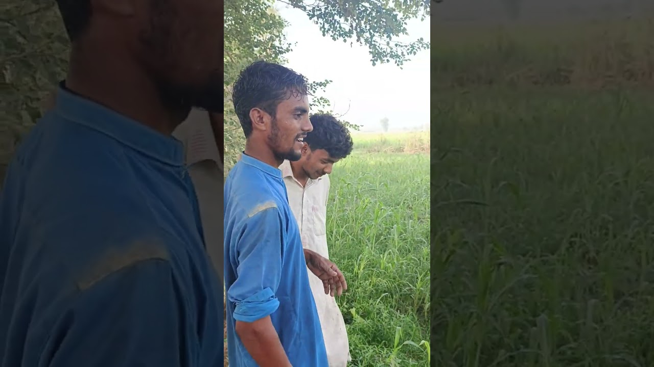 mandak dakh kr kakey ki rais chak #funny #comedymemes #viralvideo