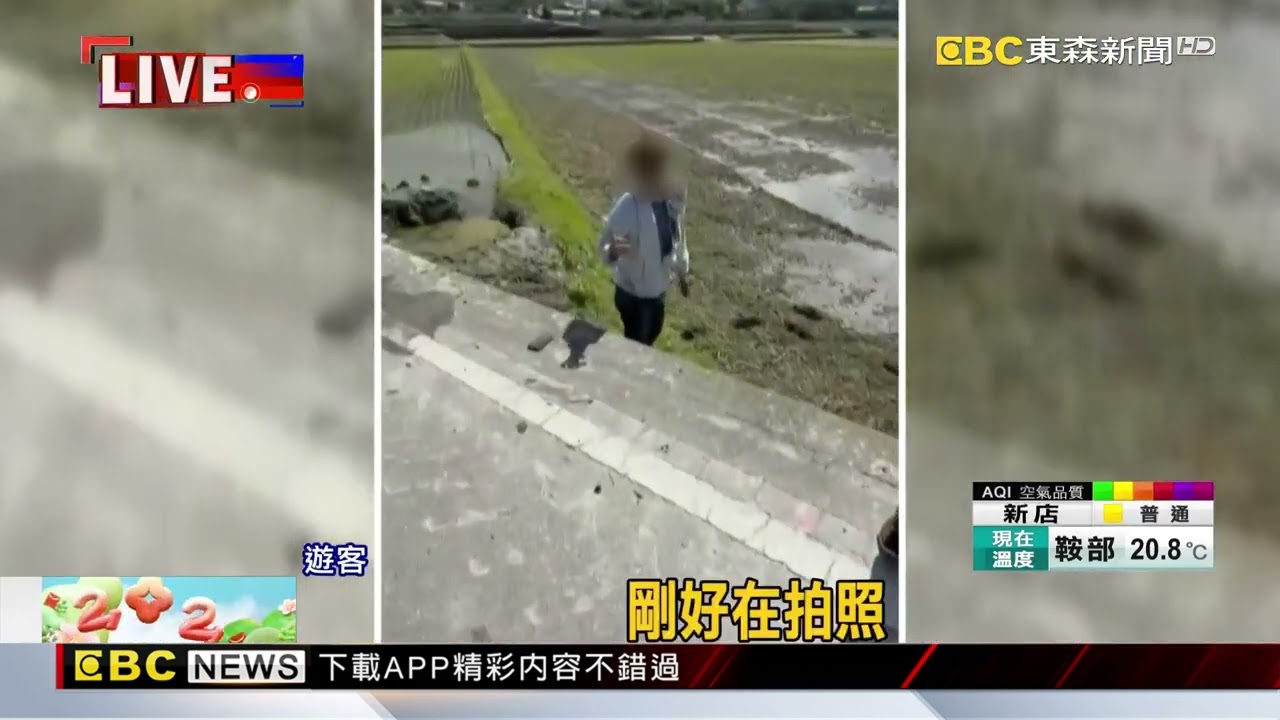 騎電輔車遊伯朗大道 為了拍照全家摔田裡@newsebc