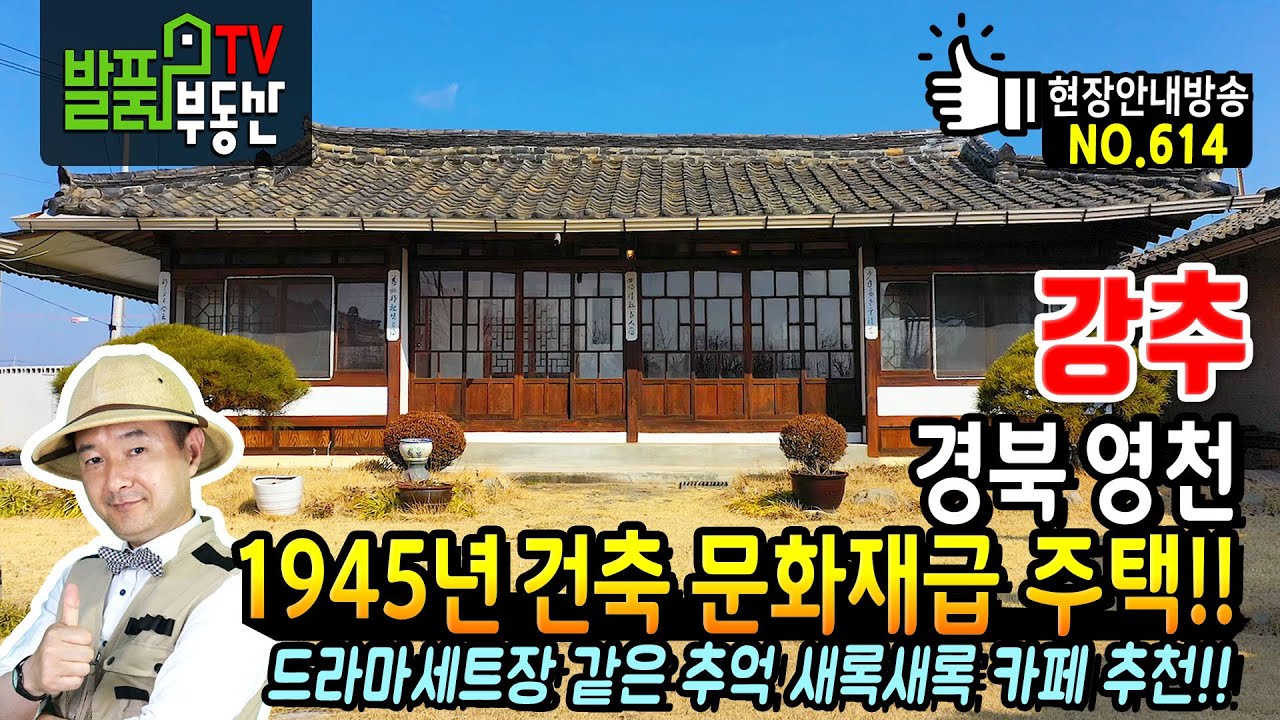 (강추) 1945년 건축 문화재급 주택!! 드라마세트장 같은 경북 영천 전원주택 한옥 매매 추억이 담긴 주택과 넓은 면적 활용한 특별한 카페 추천 영천부동산 - 발품부동산TV