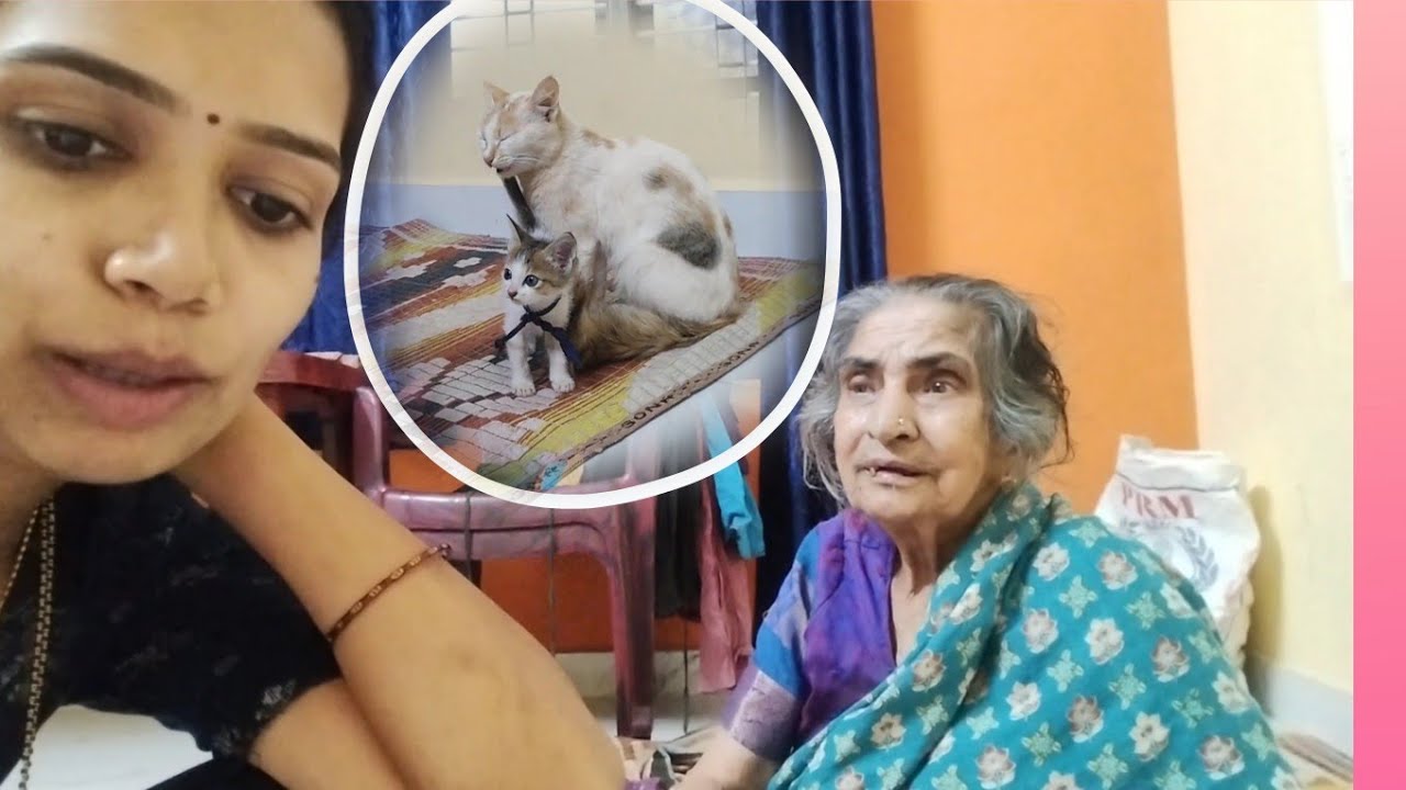 ಇಲ್ಲಡೆ ಪೋನಗ ಅಜ್ಜಿ ಪುಚ್ಚೆನ್ ದಾದ ಮಲ್ತ್ದೆರ್ ತೂಲೆ🙆🤦🤦